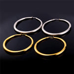 Big Hooped Earrings