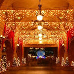 10M 20M 30M 50M 100M LED string Fairy Light Christmas Lights